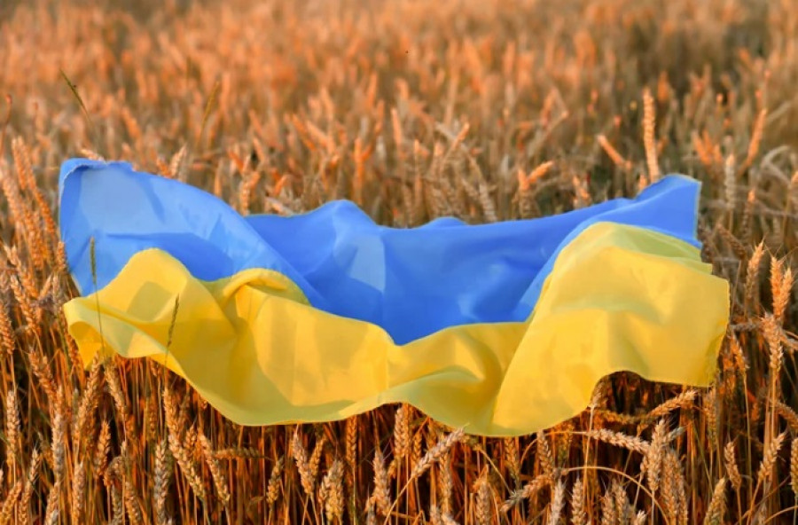 Ουκρανία: Δύο διαδρομές εξαγωγής σιτηρών μέσω Πολωνίας και Ρουμανίας