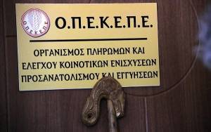 ΟΠΕΚΕΠΕ: Διευκρινιστικές οδηγίες για τις δηλώσεις Ενιαίας Αίτησης Ενίσχυσης 2020