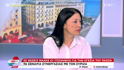 Γιαννακοπούλου: Είμαι έτοιμη να αναλάβω την προεδρία του ΠΑΣΟΚ