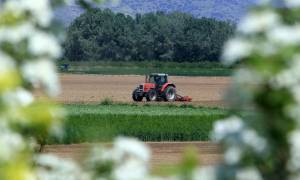 ΑΑΔΕ: Επτά ερωτήσεις και απαντήσεις για τις αγροτικές επιδοτήσεις