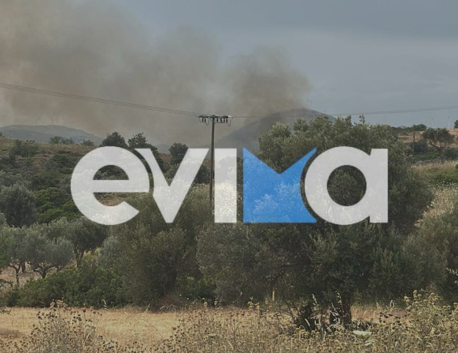 Μεγάλη φωτιά στην Εύβοια– 112 στους κατοίκους του Αλμυροποτάμου (photos)