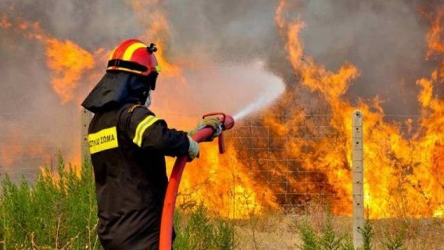 Φωτιά ξέσπασε στην Καλλιτεχνούπολη Αττικής