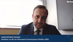 Κόλλιας (ΟΕΕ): Πρόταση για ρήτρα 20ετούς σταθερού φορολογικού καθεστώτος για την επαγγελματική ασφάλιση
