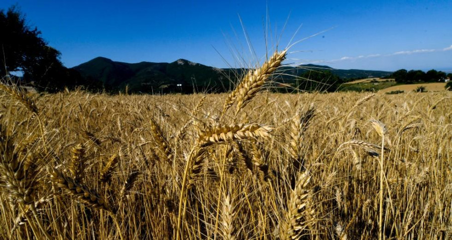 Παρατείνεται για τρεις μήνες η υποχρέωση δήλωσης αποθεμάτων