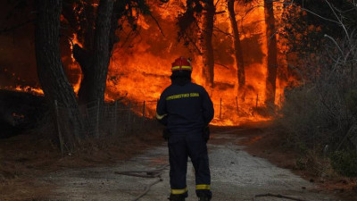 Έβρος: Άκαυτο μόνο το 42% του δάσους της Δαδιάς