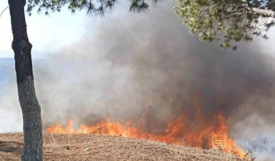 Φωτιά στη Βοιωτία: Νεκρός βοσκός-Πήγε να σώσει τα ζώα του