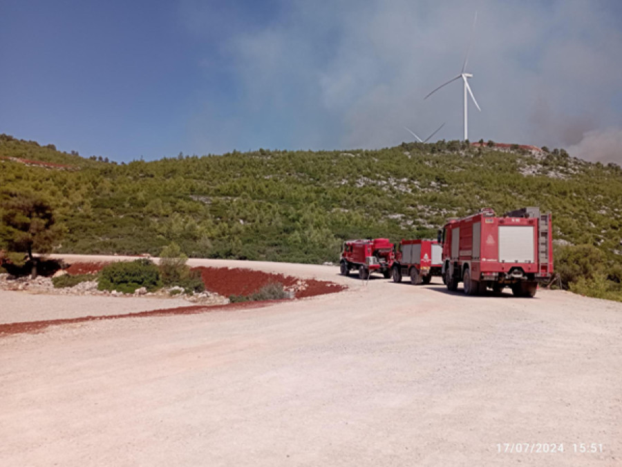 ΕΛΕΤΑΕΝ: Πώς τα αιολικά πάρκα συμβάλλουν στην προστασία του δάσους