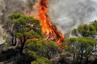 Υψηλός κίνδυνος πυρκαγιάς την Τρίτη (27/8)- Οι «κίτρινες» περιοχές